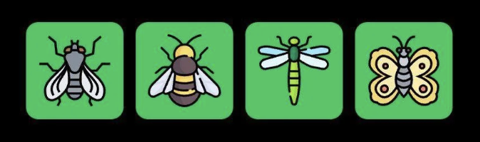 FLIES Daily Combo 8 April 2025